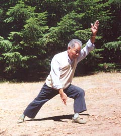 Wang Hao Da Wu Style video